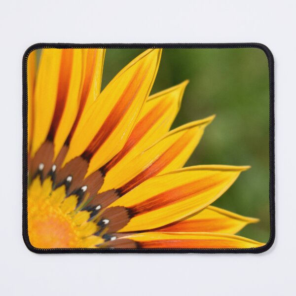 Item preview, Gazania Flower designed and sold by HazelFisher.