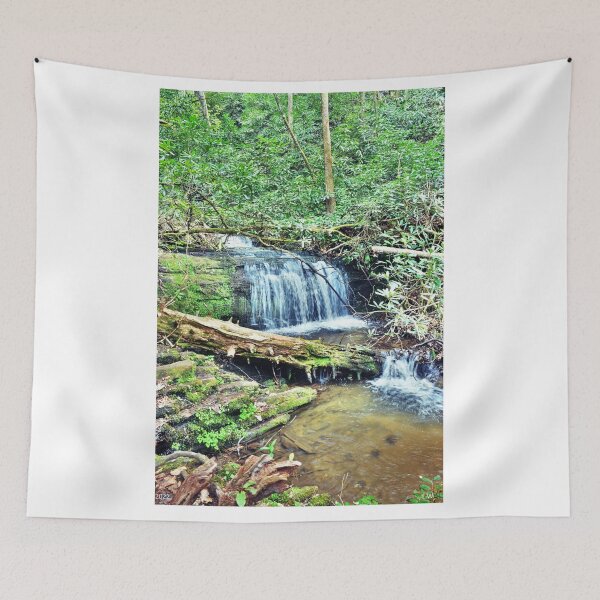 Item preview, King Creek Falls Sumpter National Forest Vertical designed and sold by LisaWootenPhoto.