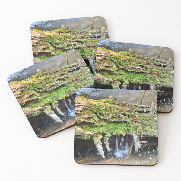 Item preview, Mossy Water Log designed and sold by LisaWootenPhoto.