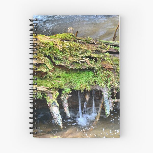 Item preview, Mossy Water Log designed and sold by LisaWootenPhoto.