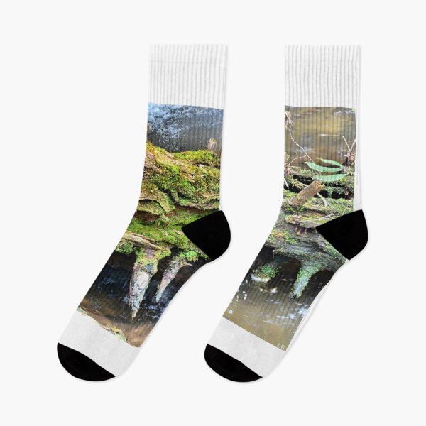 Item preview, Mossy Water Log designed and sold by LisaWootenPhoto.