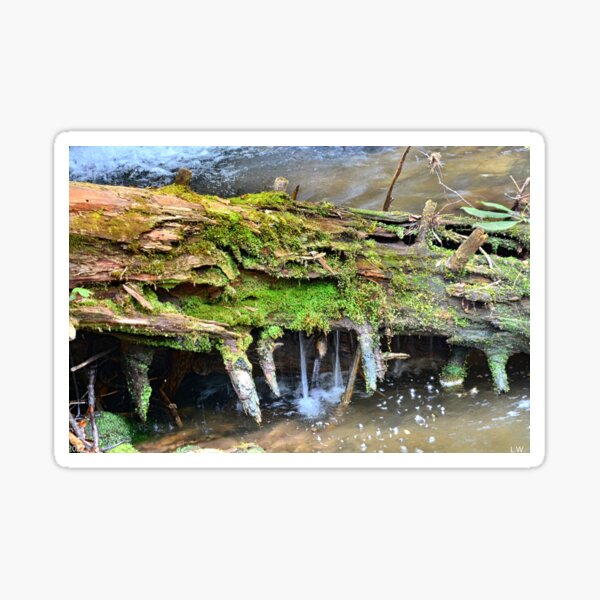 Item preview, Mossy Water Log designed and sold by LisaWootenPhoto.