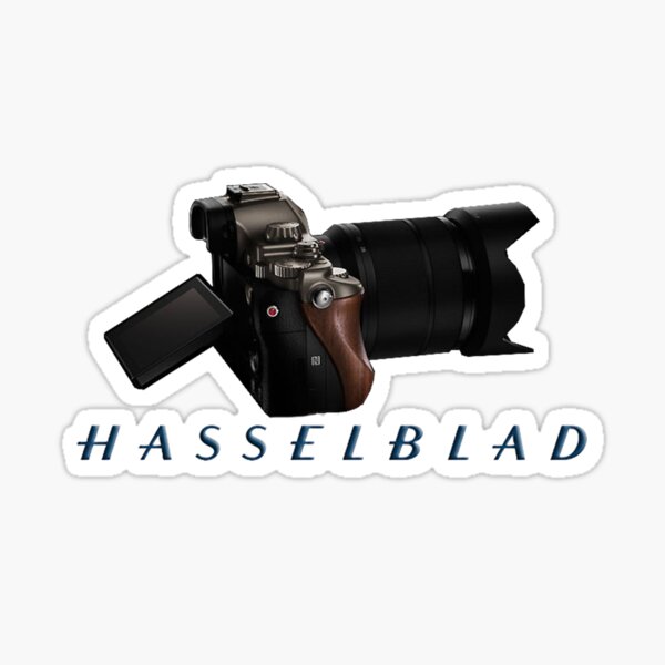 Item preview, Hassel designed and sold by Dugo.