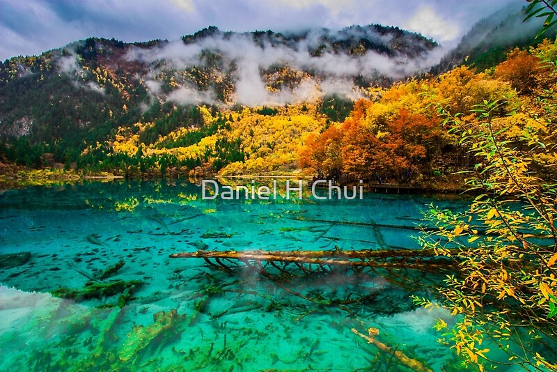 "Five Flower Lake, JiuZhaiGou, China" By Daniel H Chui | Redbubble