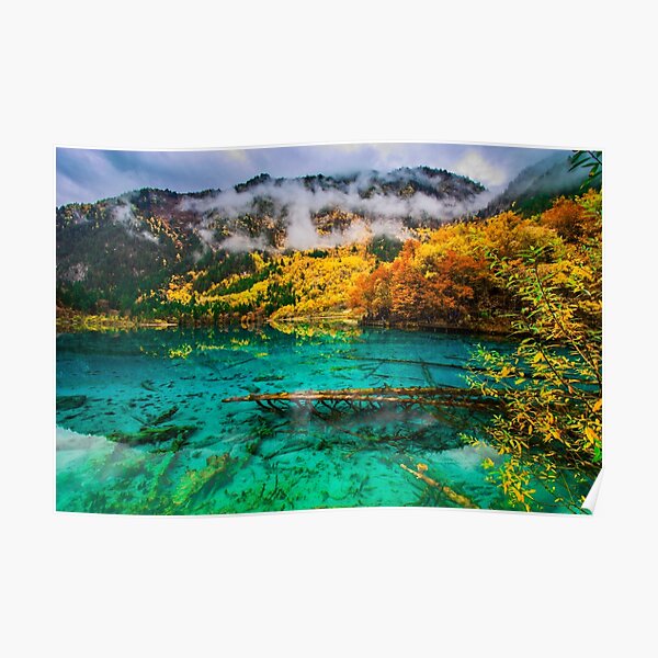 Five Flower Lake, JiuZhaiGou, China Poster