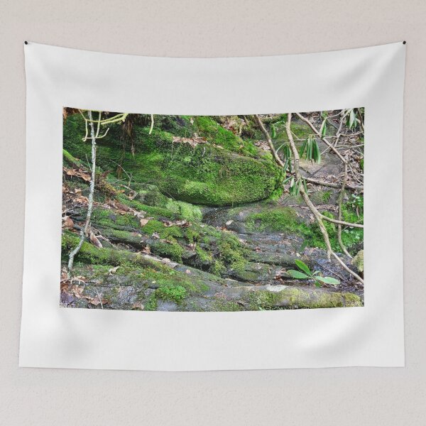 Item preview, Mossy Rocks designed and sold by LisaWootenPhoto.