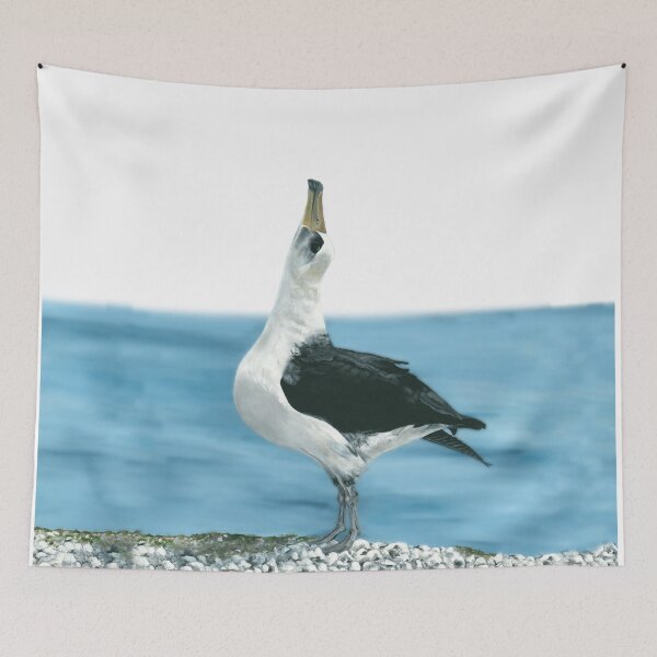 Item preview, Albatross performing a courtship dance. Right. Original Acrylic Painting by Jane Green. designed and sold by janesg.