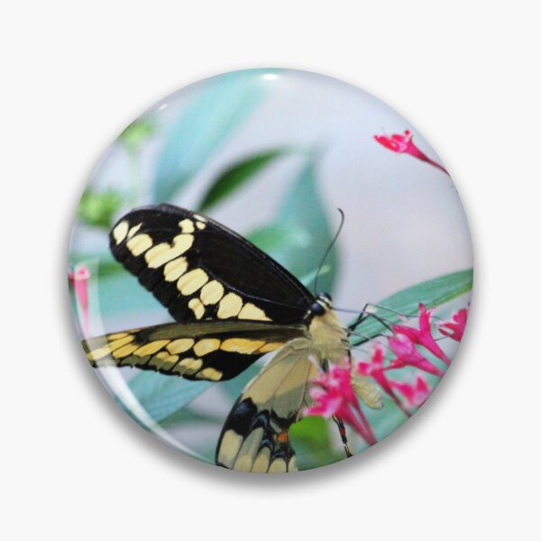 Item preview, Giant Swallowtail On Pink Flower designed and sold by Cynthia48.