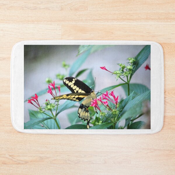 Item preview, Giant Swallowtail On Pink Flower designed and sold by Cynthia48.