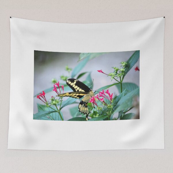 Item preview, Giant Swallowtail On Pink Flower designed and sold by Cynthia48.