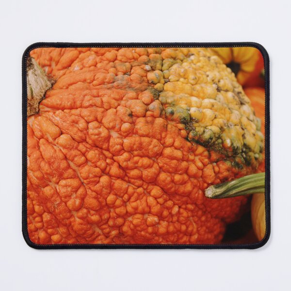 Item preview, Pumpkins and Squash in Fall designed and sold by LaPetiteStudio.