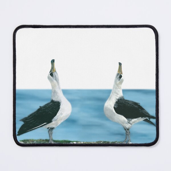 Item preview, Albatross performing a courtship dance. Pair. Original Acrylic Painting by Jane Green. designed and sold by janesg.