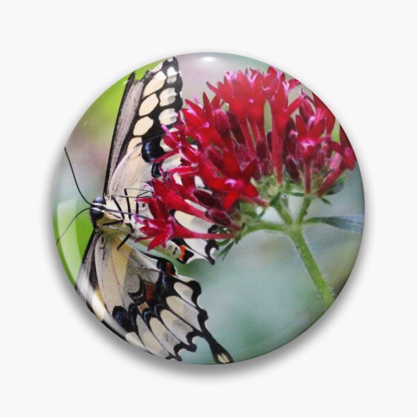 Item preview, Swallowtail Butterfly Underside designed and sold by Cynthia48.