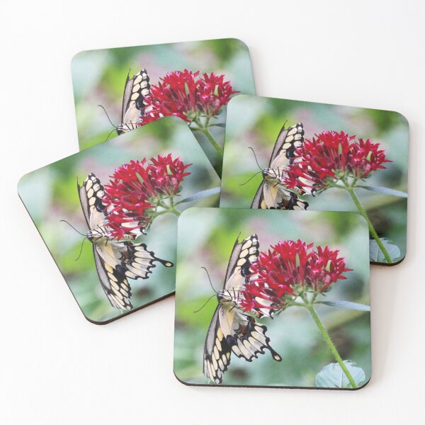 Item preview, Swallowtail Butterfly Underside designed and sold by Cynthia48.