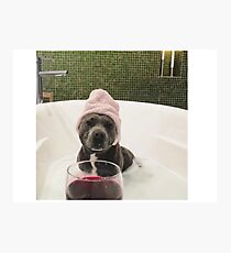 Wine Dog Photographic Print