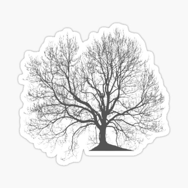 very wise mystical tree drawing｜TikTok Search