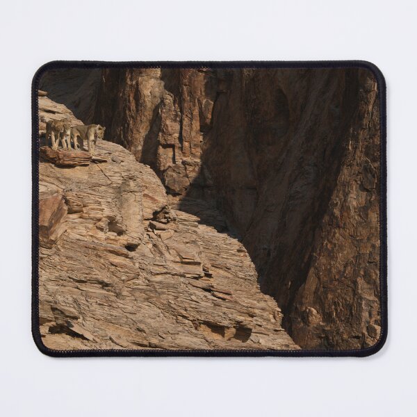 Item preview, Three Lions on a Rock designed and sold by Alon-Cassidy.