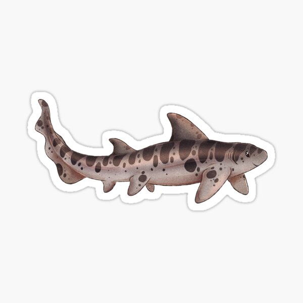Item preview, Sharktober day 12 Leopard shark designed and sold by dinosaphira99.