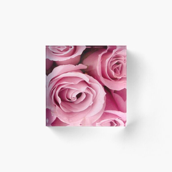Pink Roses Acrylic Block