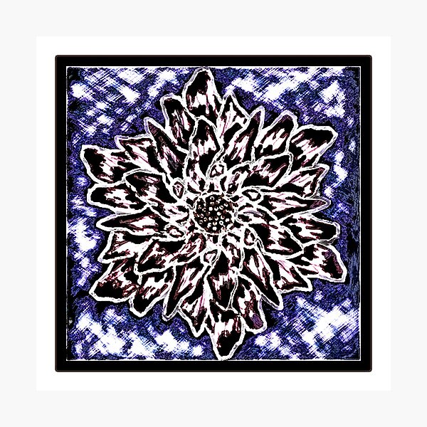 Item preview, Abstract dahlia design, black/indigo designed and sold by Jillyanne Downs.