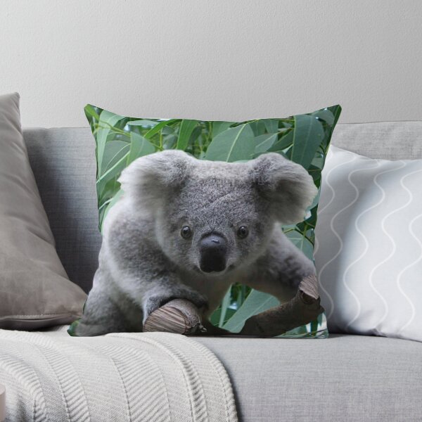 Koala bear outlet pillow