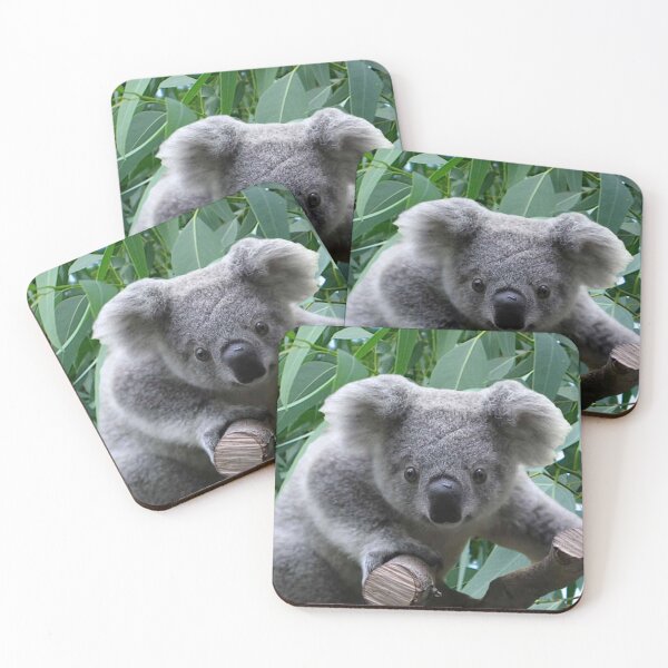 Item preview, Koala and Eucalyptus designed and sold by Erika Kaisersot.