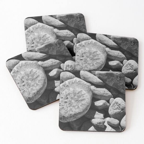 Item preview, Fossils in Black and White designed and sold by Middy's Art.
