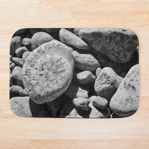Item preview, Fossils in Black and White designed and sold by Middy's Art.