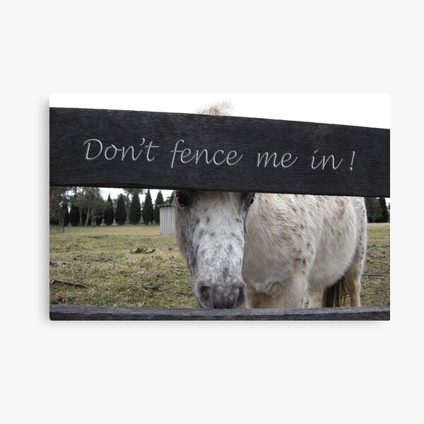 Don't Fence me In! Canvas Print