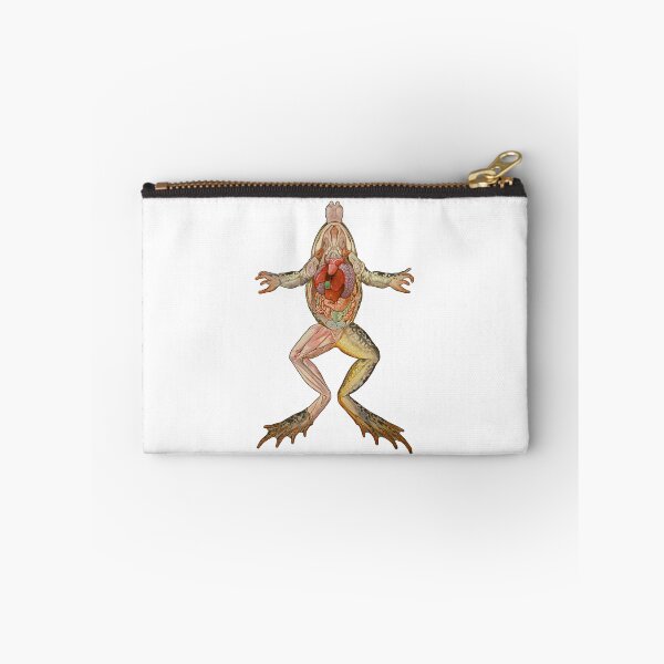 Item preview, Frog Anatomy designed and sold by TikiLuke.