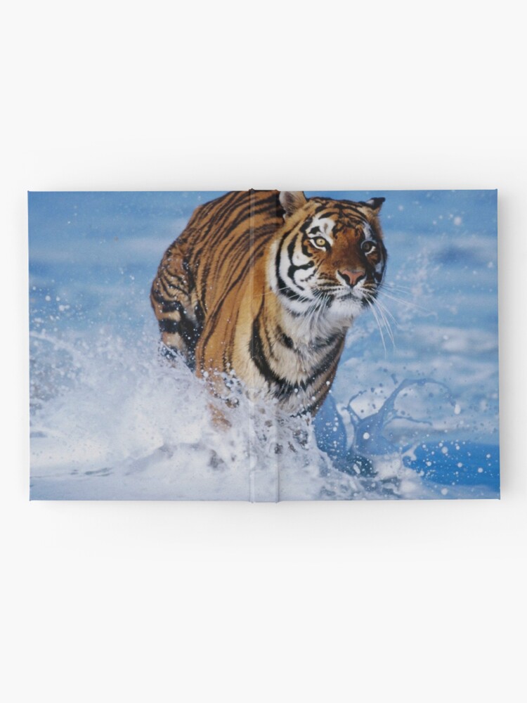 Bengal Tiger Notebook Bengal Tiger Journal Ruled Line 