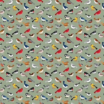 Artwork thumbnail, Busy Bird Feeder by Shiny Happy World