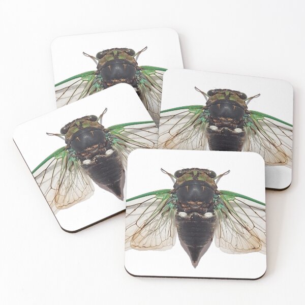 Item preview, Cicadas - Song Makers of the South designed and sold by markmm9.