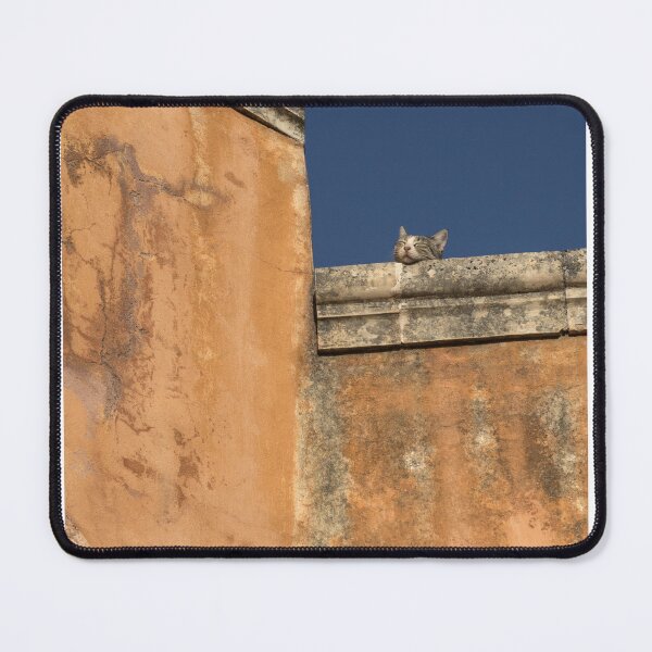 Item preview, Sleeping cat designed and sold by paolo amiotti.