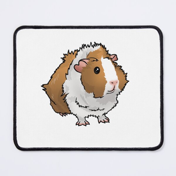 Item preview, Light Dutch Abyssinian Guinea Pig designed and sold by KatsGuineapigs.