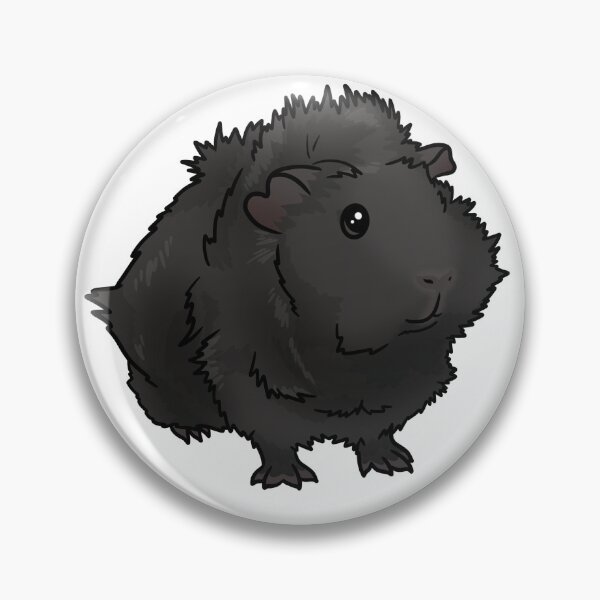 Item preview, Black Abyssinian Guinea Pig designed and sold by KatsGuineapigs.