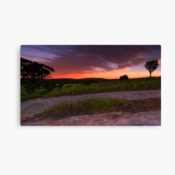 Hairy Rock Canvas Print