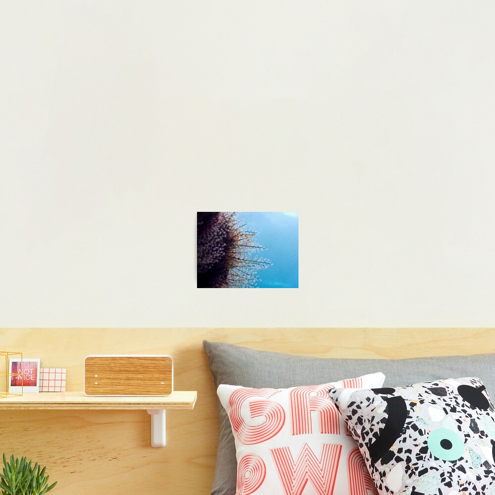 Item preview, Photographic Print designed and sold by blueworld13.