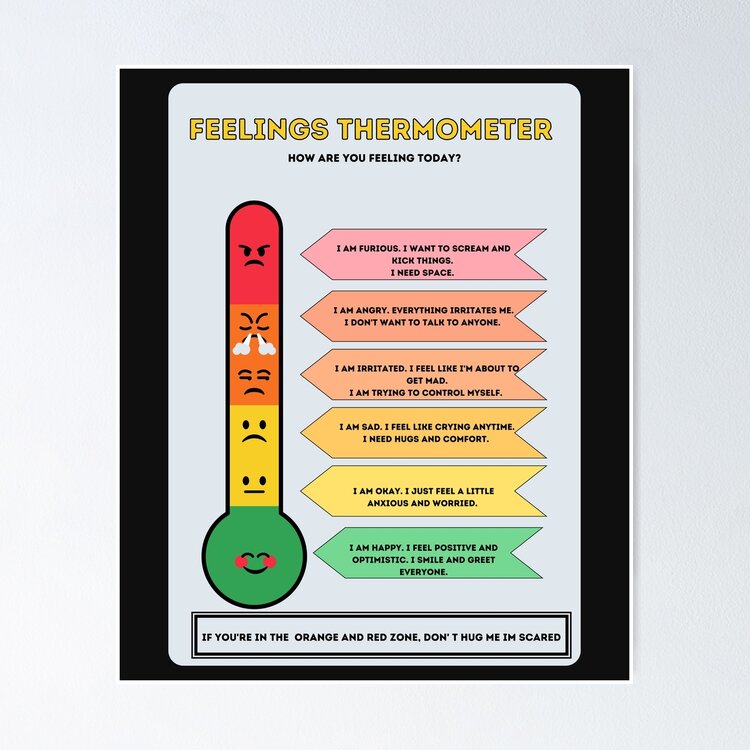 Feeling Thermometers - Small