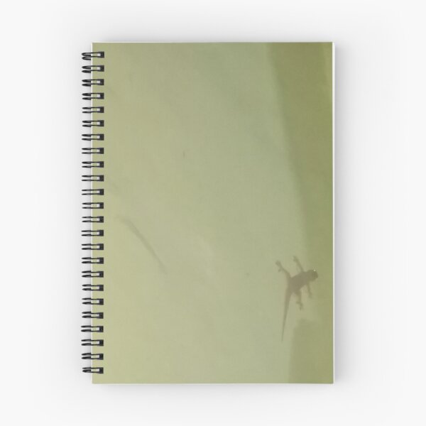 Item preview, animal sticking to the wall designed and sold by Denarul86.