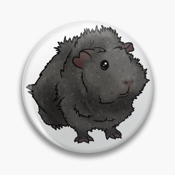 Item preview, Grey Agouti Abyssinian Guinea Pig designed and sold by KatsGuineapigs.