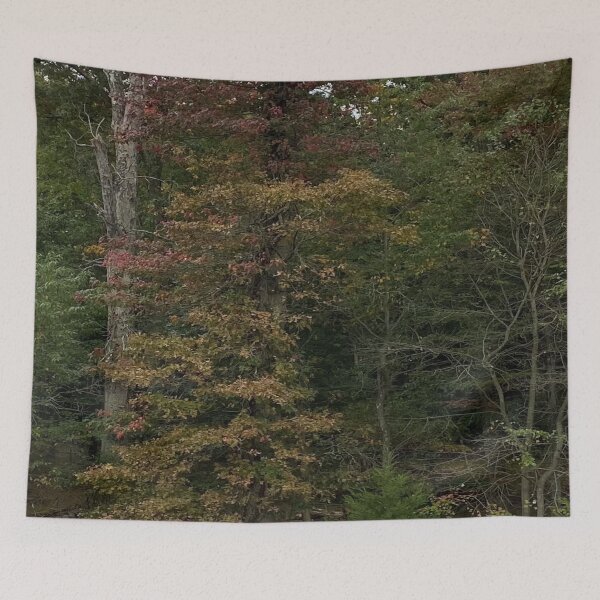 Item preview, Early Autumn Tree Colors  designed and sold by CJRPics.