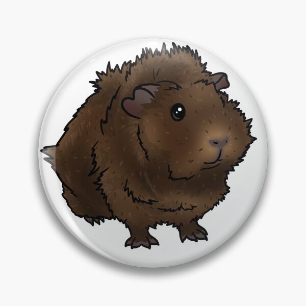 Item preview, Brown Agouti Abyssinian Guinea Pig designed and sold by KatsGuineapigs.
