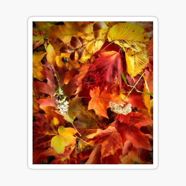 Item preview, Autumnal colors designed and sold by Ivy-Bindig.