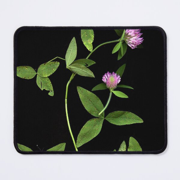 Item preview, Klee I designed and sold by Gabriele Maurus.