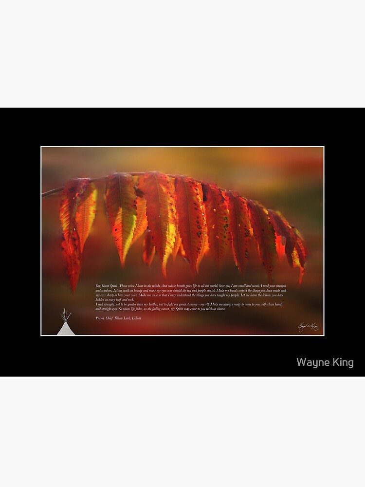 Lakota Prayer Poster - Indian Summer Image by waynedking