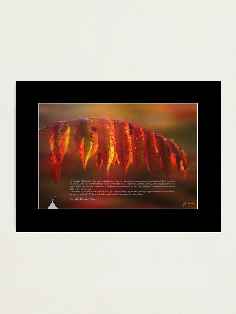 Alternate view of Lakota Prayer Poster - Indian Summer Image Photographic Print