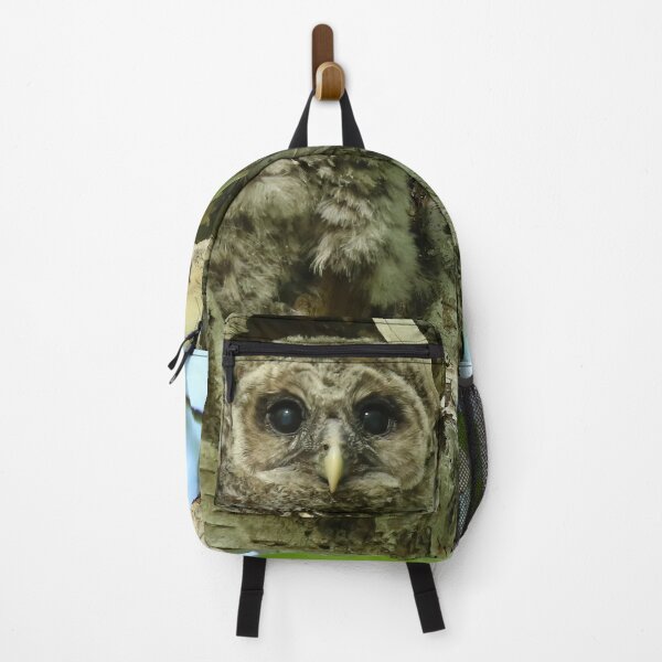 Item preview, Barred owl baby camouflage designed and sold by locustgirl.