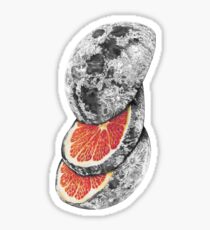LUNAR FRUIT Sticker