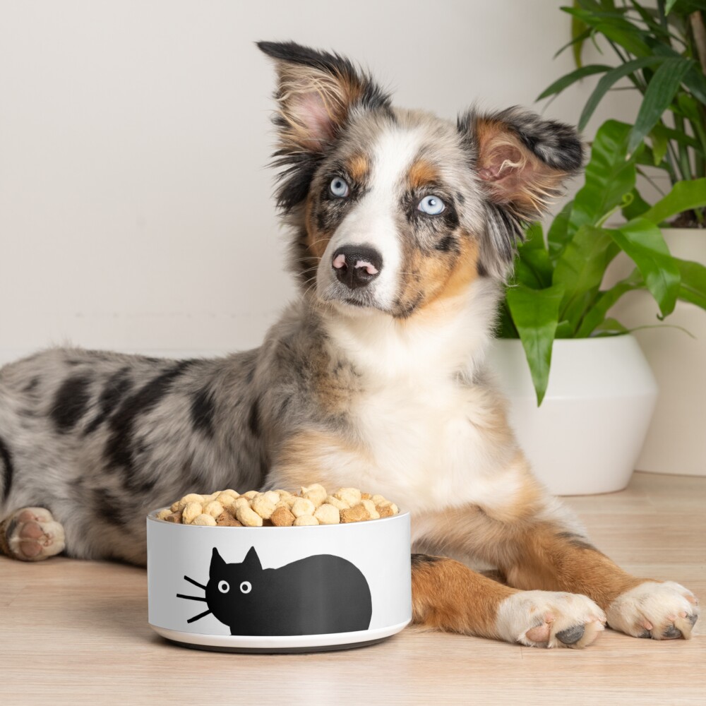 Black Cat(s) Pet Bowl